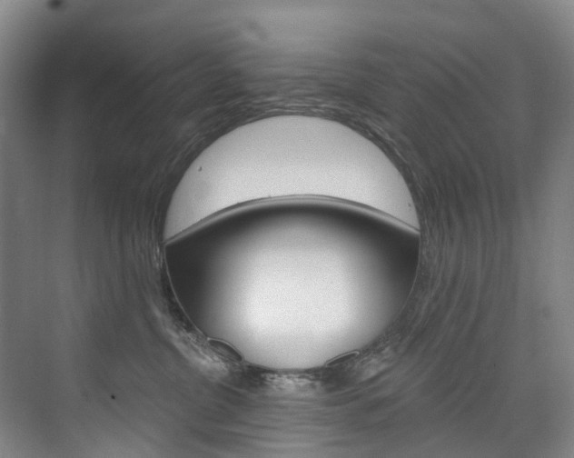 X0000074940380200609010951