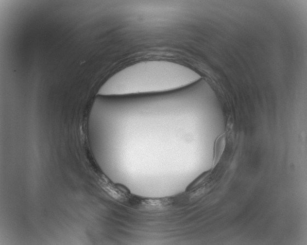 X0000074940381200609010951