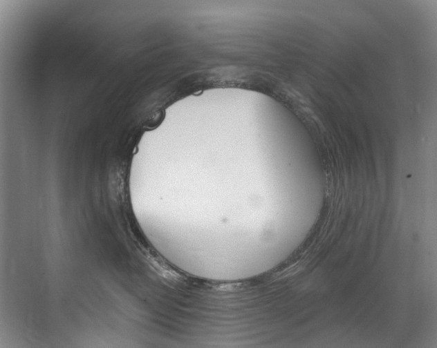 X0000074940382200609010951