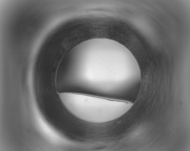 X0000074940383200609010951