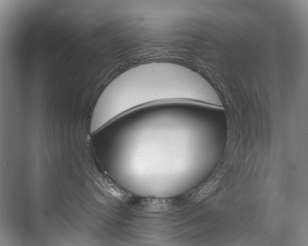 X0000074940384200609010951