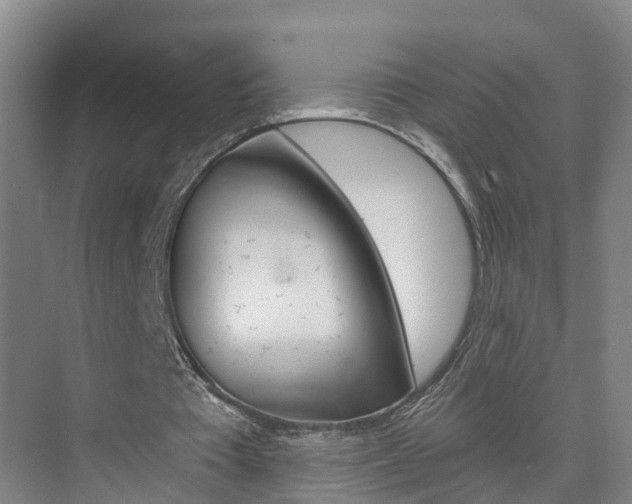 X0000074940385200609010950