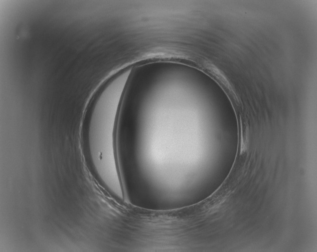 X0000074940387200609010950