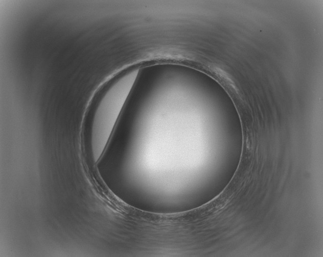 X0000074940388200609010950