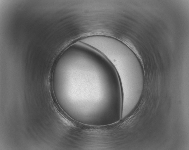 X0000074940389200609010950