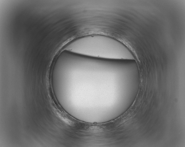 X0000074940390200609010950