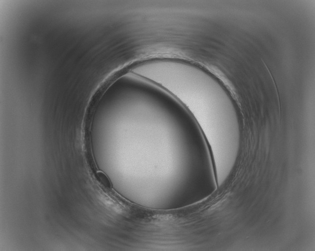 X0000074940391200609010950