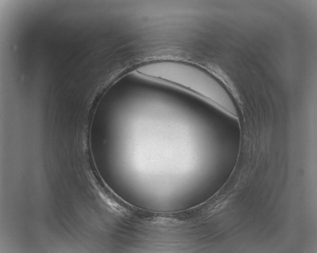 X0000074940393200609010950