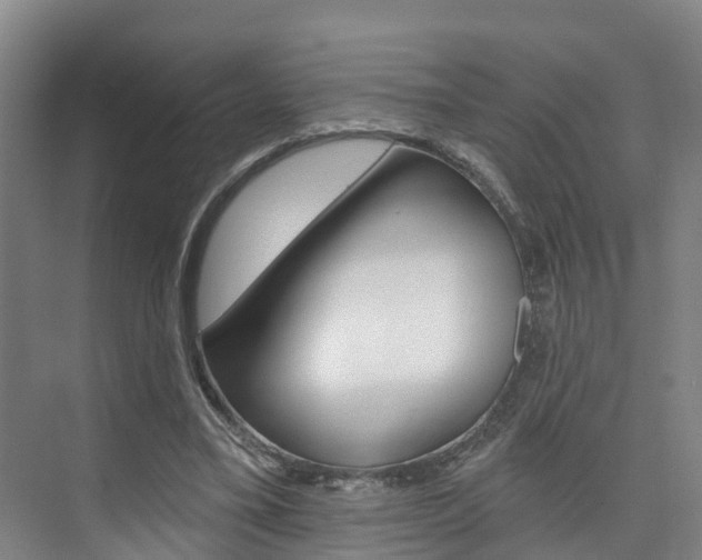 X0000074940395200609010950