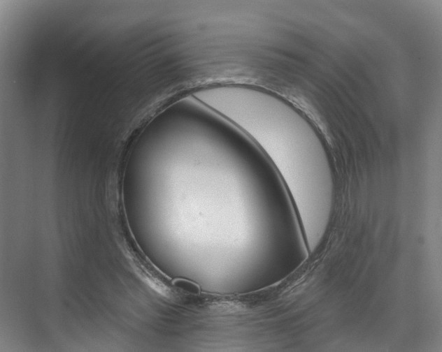 X0000074940397200609010950