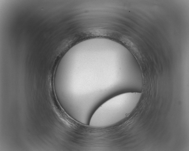 X0000074940398200609010950