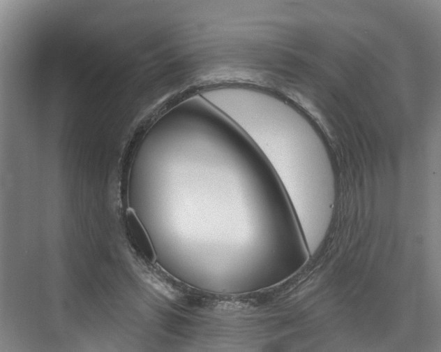 X0000074940399200609010950