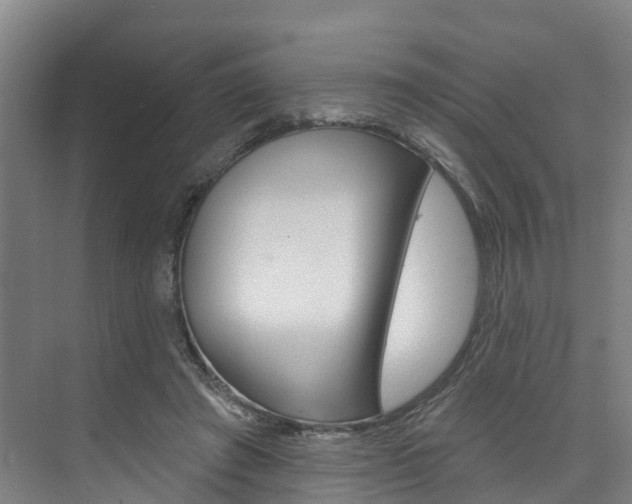 X0000074940401200609010950