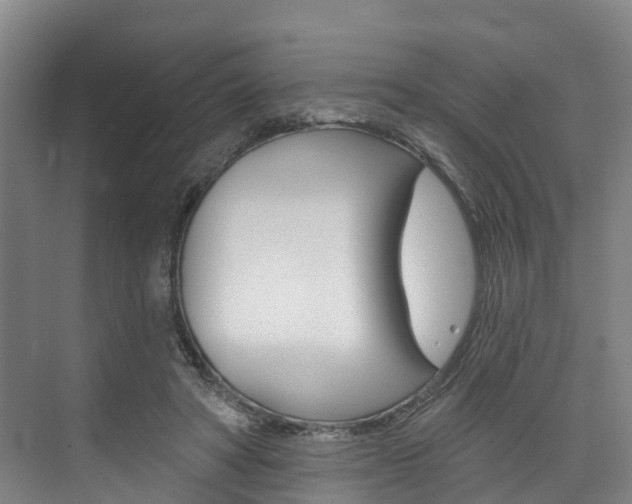 X0000074940402200609010950