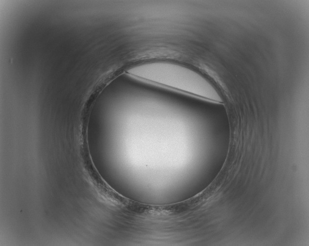 X0000074940403200609010950