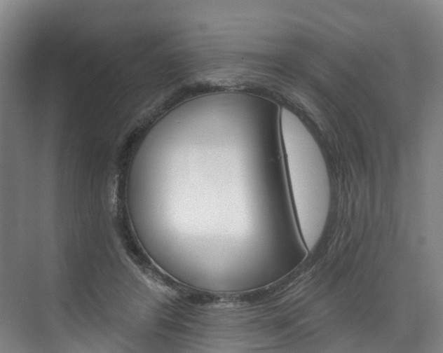 X0000074940404200609010950