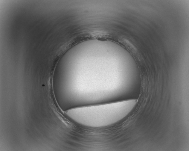 X0000074940405200609010950