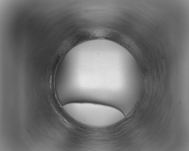 X0000074940406200609010950