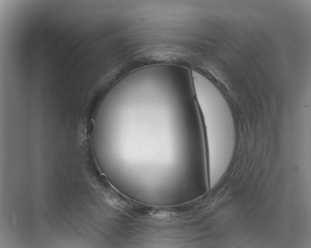 X0000074940407200609010950