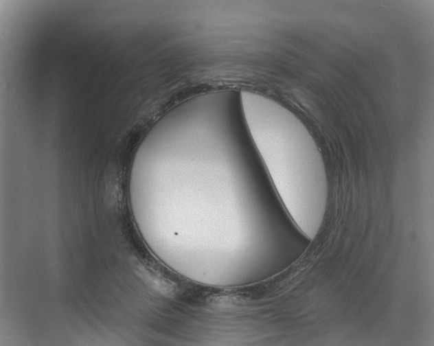 X0000074940408200609010950