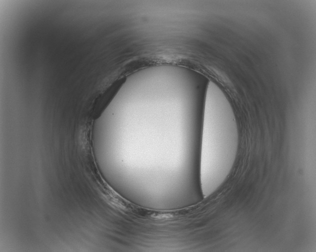 X0000074940409200609010950