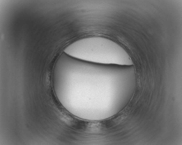 X0000074940410200609010950