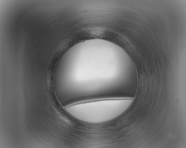 X0000074940412200609010950