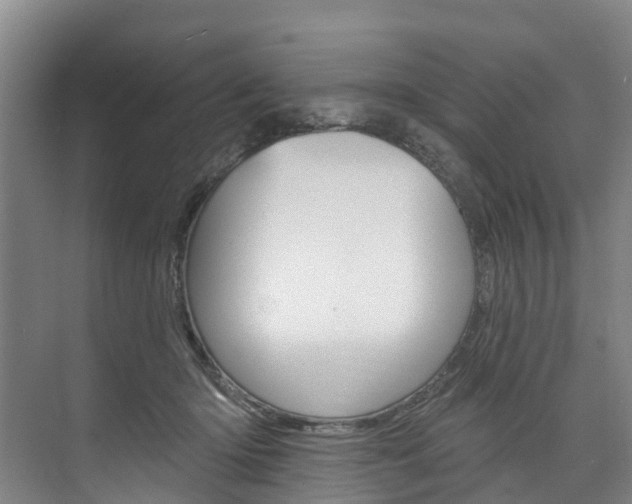 X0000074940414200609010950