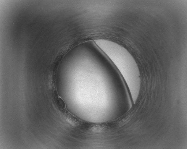 X0000074940416200609010950