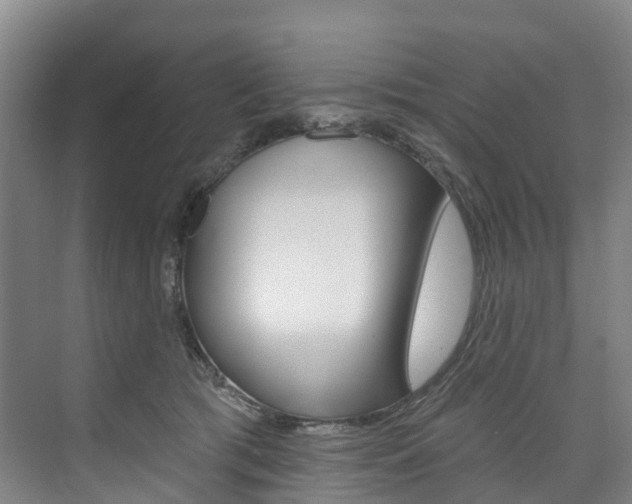 X0000074940417200609010950