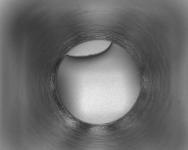 X0000074940422200609010950