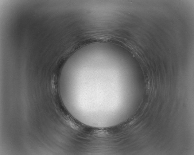 X0000074940424200609010950