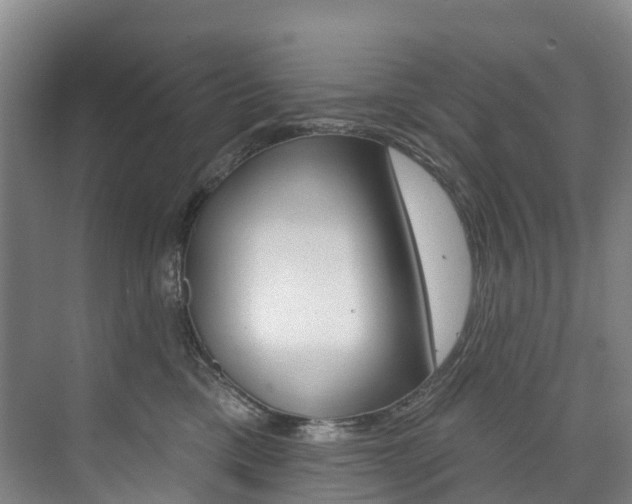 X0000074940425200609010950