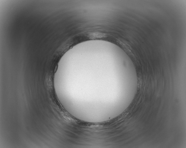 X0000074940426200609010950