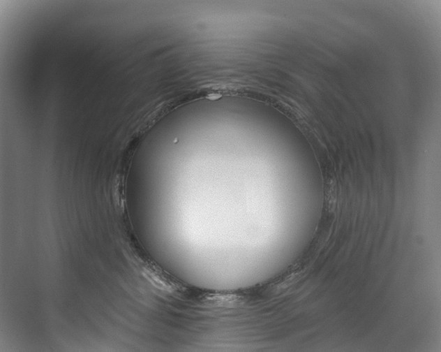 X0000074940428200609010950