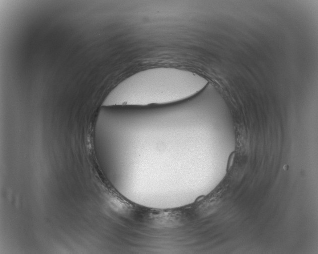 X0000074940430200609010950