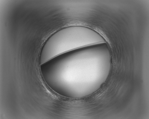 X0000074940433200609010949