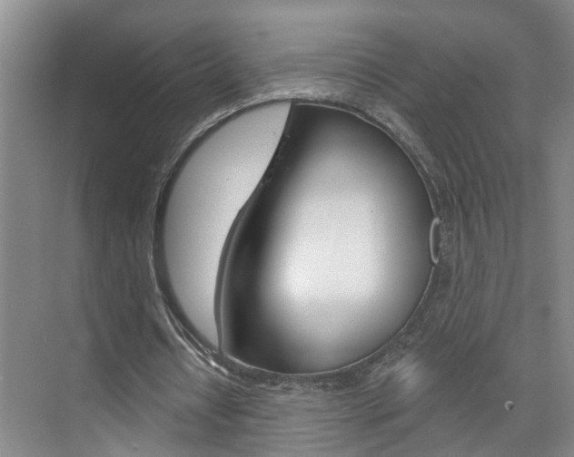 X0000074940434200609010949