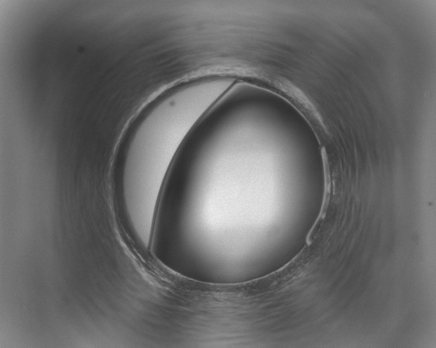 X0000074940436200609010949