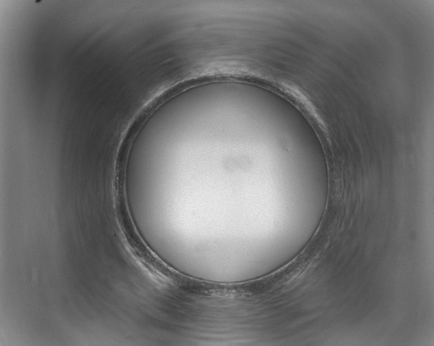 X0000074940439200609010949