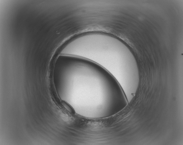 X0000074940440200609010949