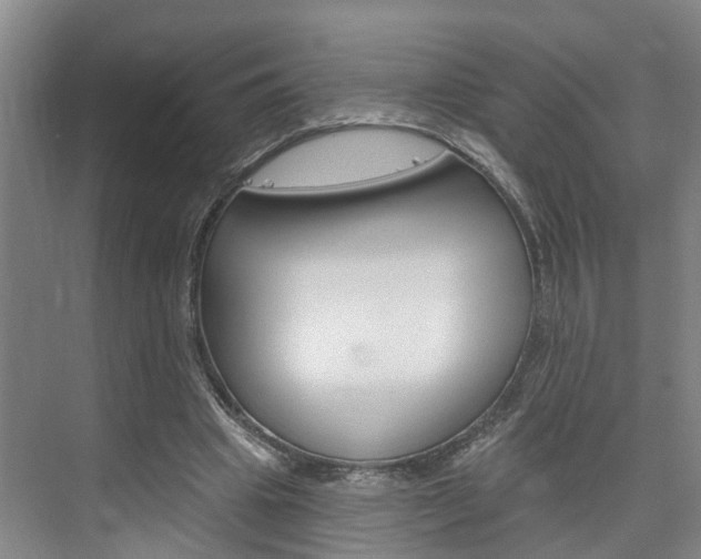 X0000074940441200609010949