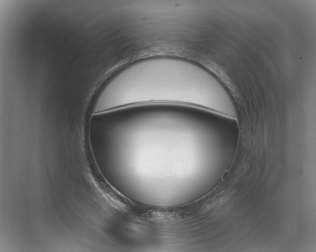 X0000074940442200609010949