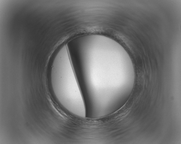 X0000074940443200609010949