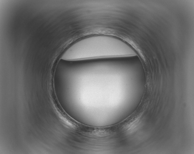 X0000074940445200609010949