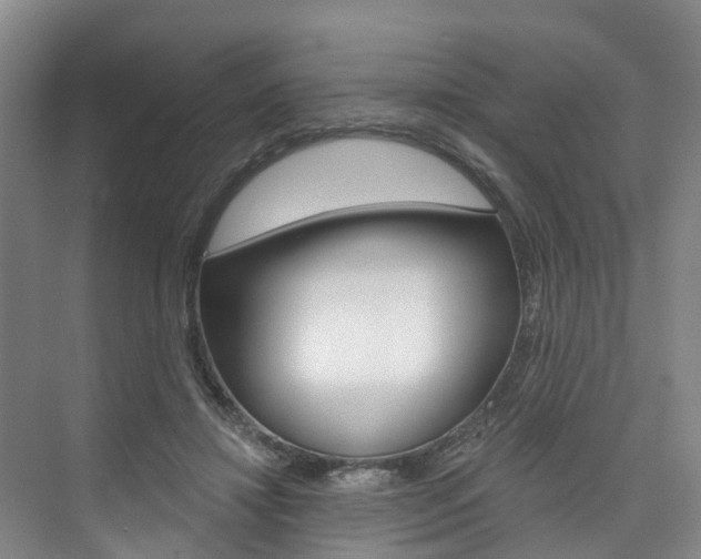 X0000074940452200609010949