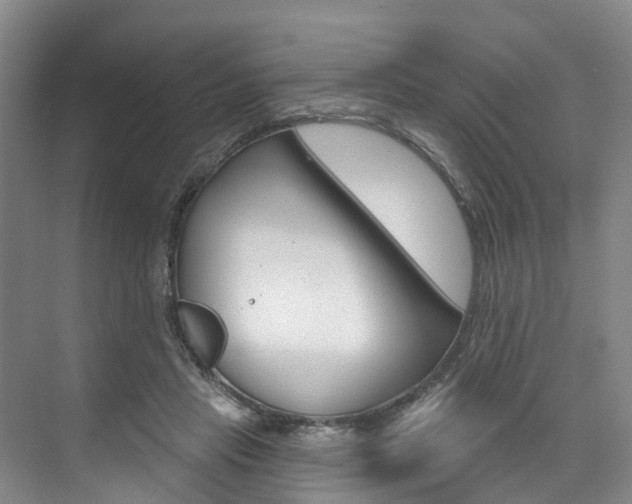 X0000074940453200609010949