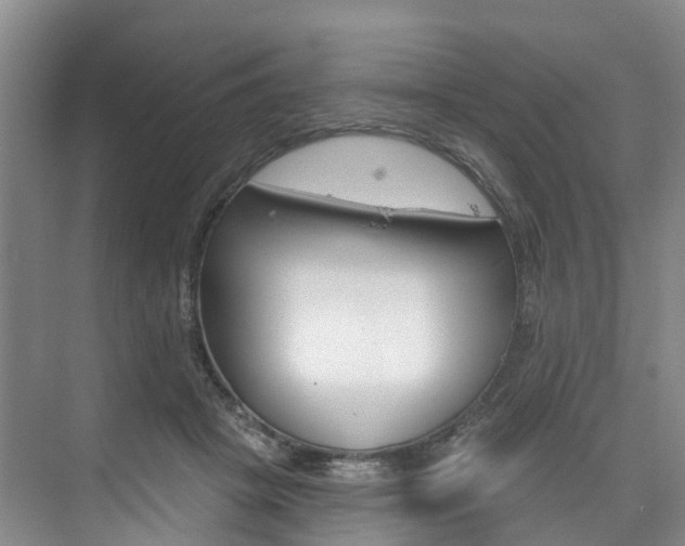 X0000074940457200609010949