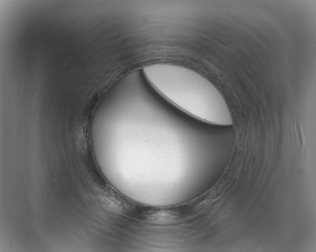 X0000074940460200609010949