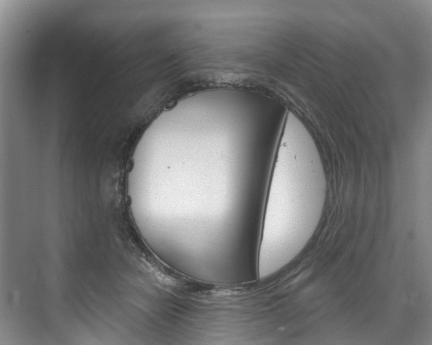 X0000074940462200609010949